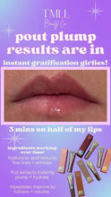 Load image into Gallery viewer, TMLL Perfect Pout Plump Gloss