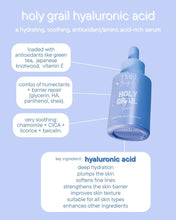 Load image into Gallery viewer, TMLL Holy Grail Hyaluronic Treatment